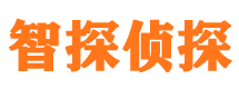 庐阳市私家侦探